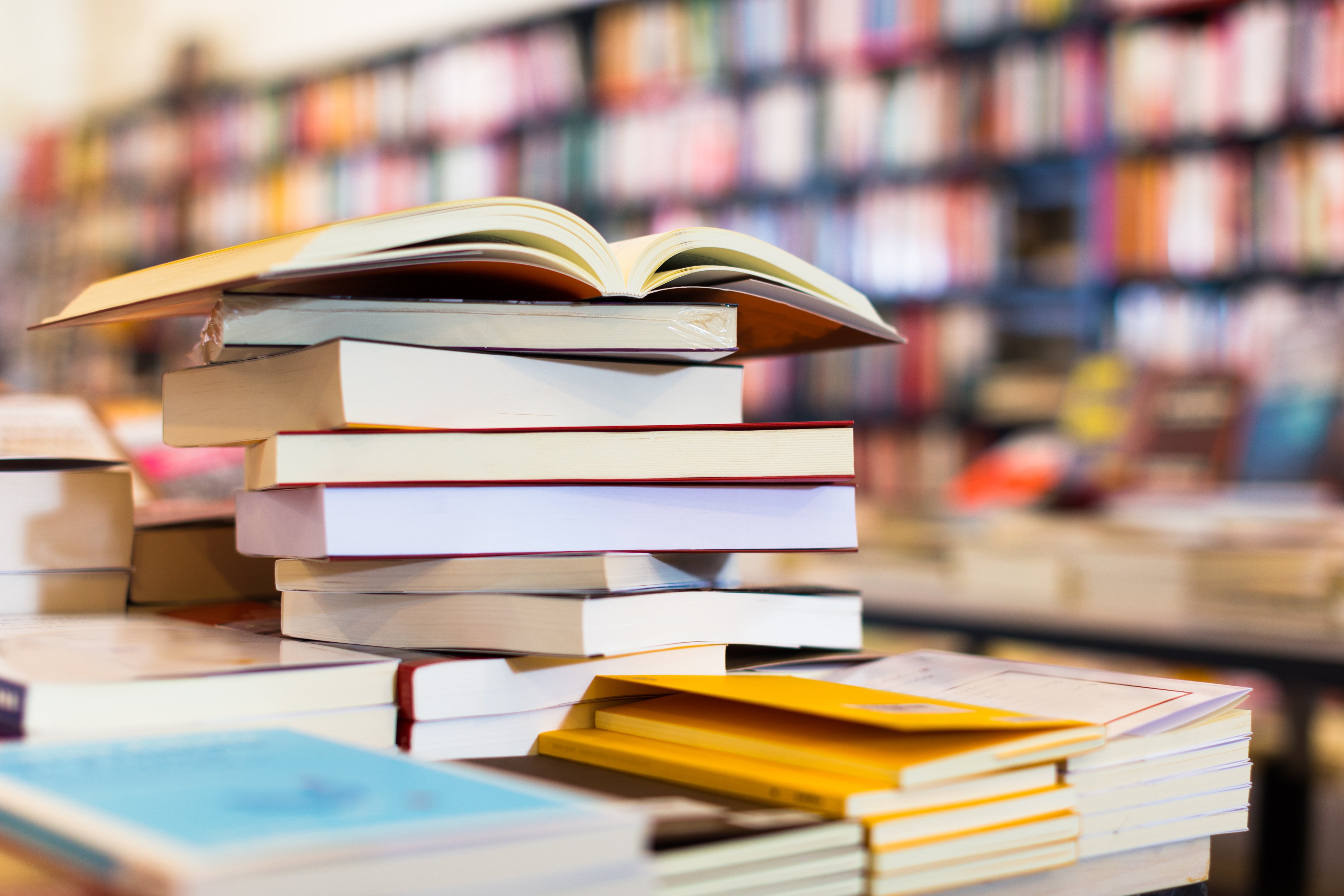 Bücher - frisch vom Verlag