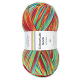 WYS Colour Lab Sock DK - POP