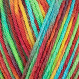 WYS Colour Lab Sock DK - POP