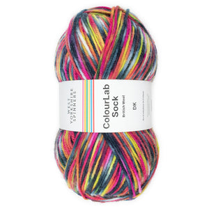 WYS Colour Lab Sock DK - PUNK