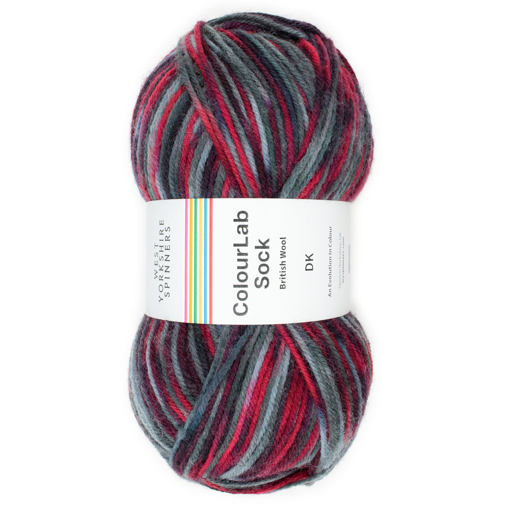 WYS Colour Lab Sock DK - ROCK