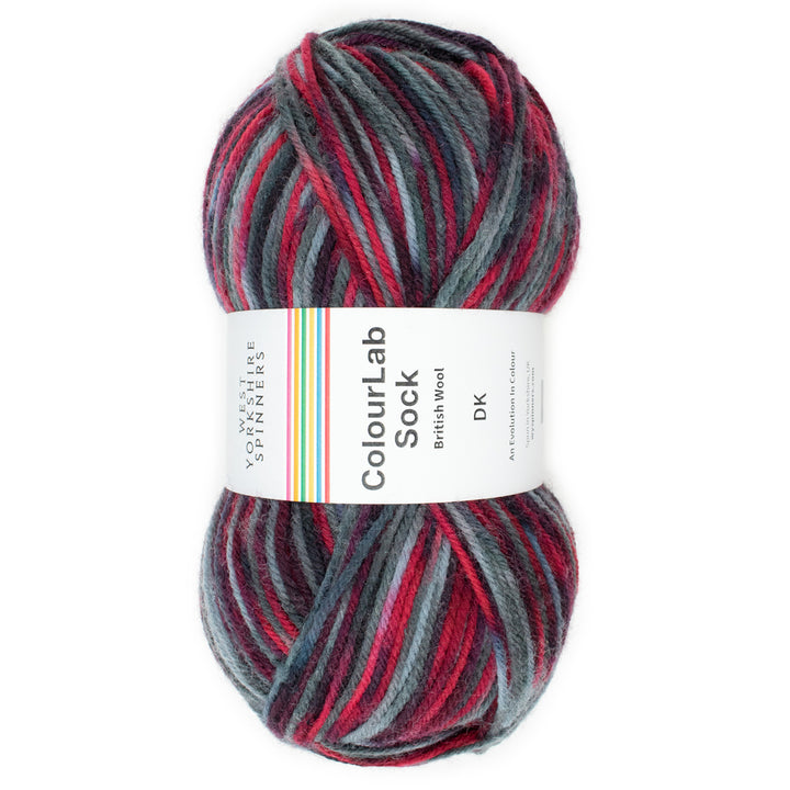 WYS Colour Lab Sock DK - ROCK