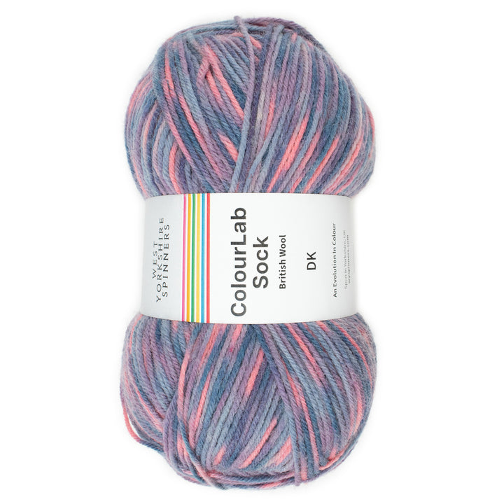 WYS Colour Lab Sock DK - SOUL