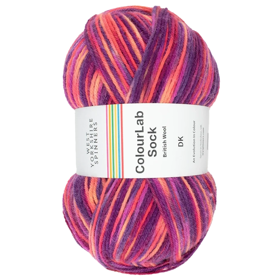 WYS Colour Lab Sock DK - JAZZ
