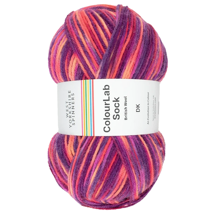 WYS Colour Lab Sock DK - JAZZ